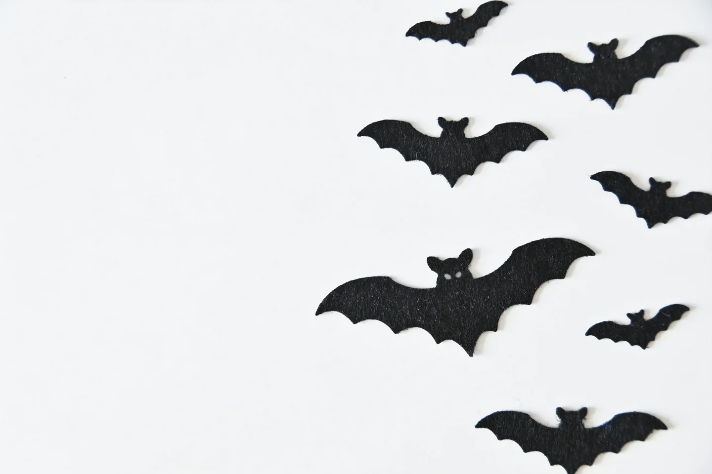 Paper bat shapes arranged on a white background