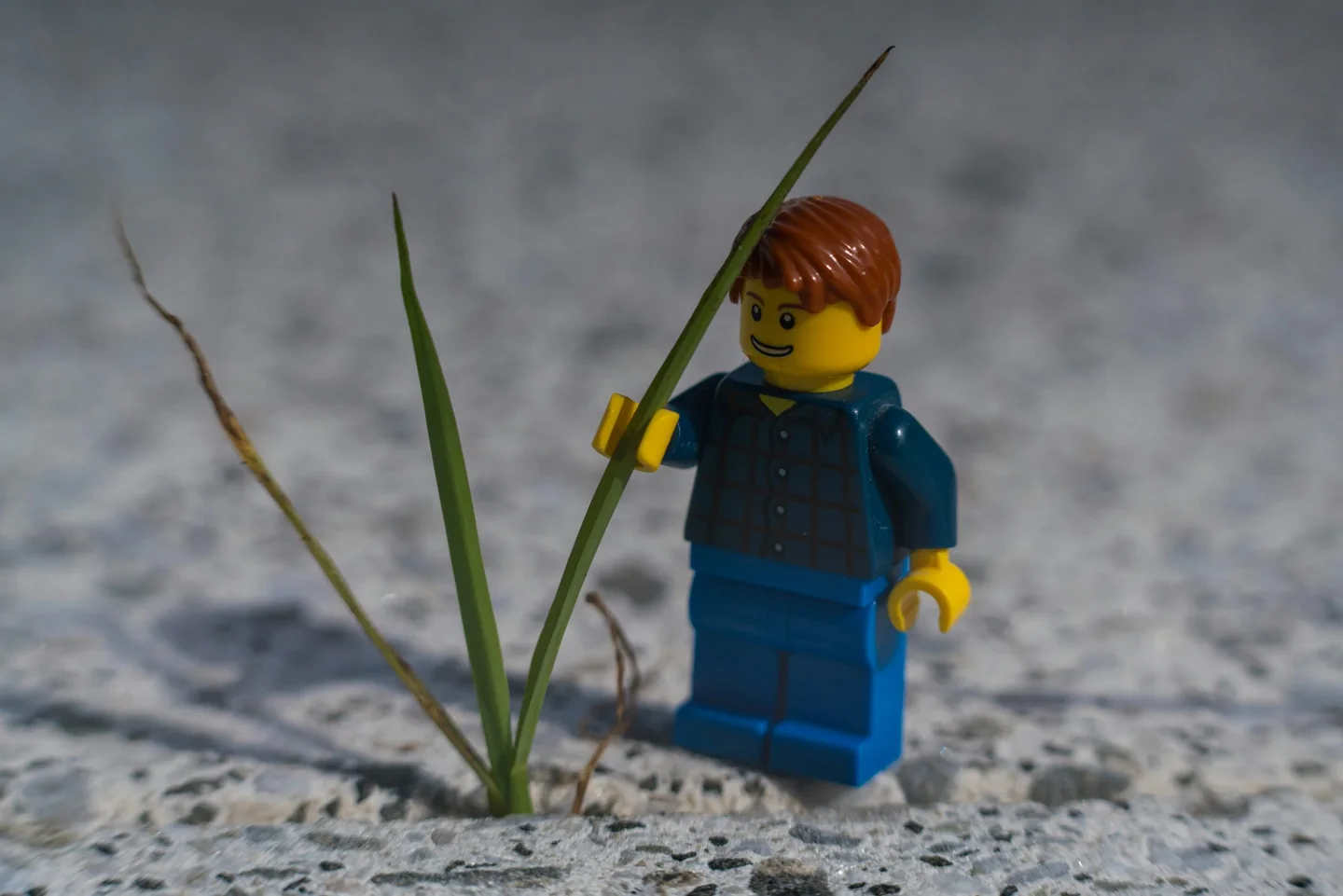Toy figure standing among reeds in shallow water