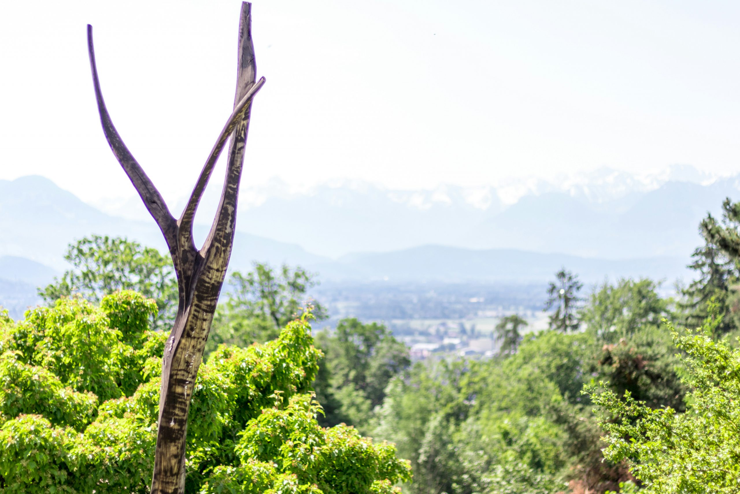 Strategic Land Investment: Empowering Property Investors to Maximise Returns